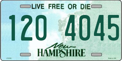 NH license plate 1204045