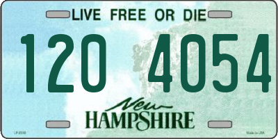 NH license plate 1204054