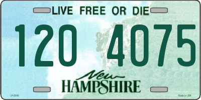 NH license plate 1204075