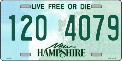 NH license plate 1204079