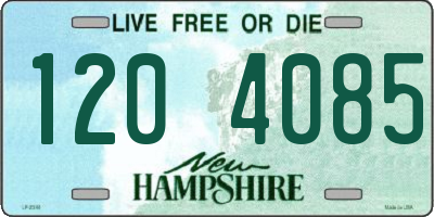 NH license plate 1204085