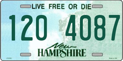 NH license plate 1204087