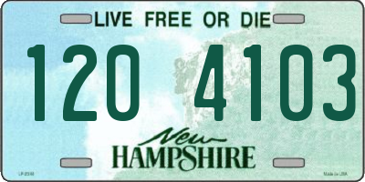 NH license plate 1204103