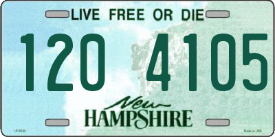 NH license plate 1204105