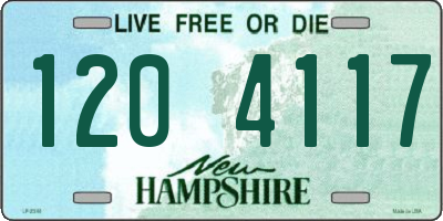 NH license plate 1204117