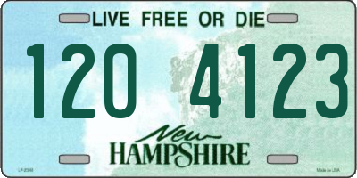 NH license plate 1204123