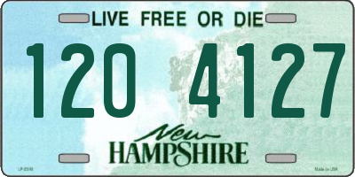 NH license plate 1204127