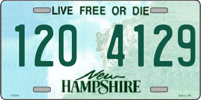 NH license plate 1204129