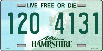 NH license plate 1204131
