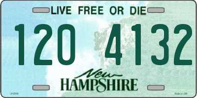NH license plate 1204132