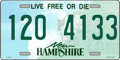 NH license plate 1204133