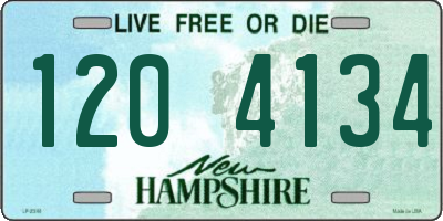 NH license plate 1204134