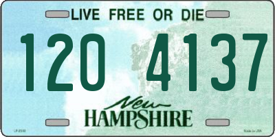 NH license plate 1204137