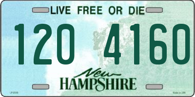NH license plate 1204160