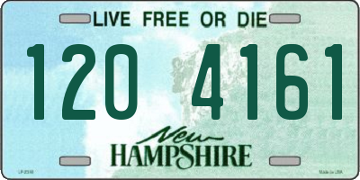 NH license plate 1204161
