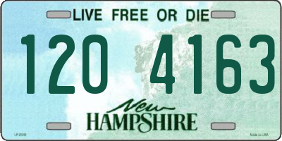 NH license plate 1204163