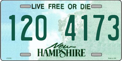 NH license plate 1204173