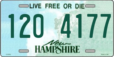 NH license plate 1204177