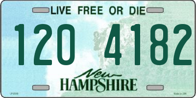 NH license plate 1204182