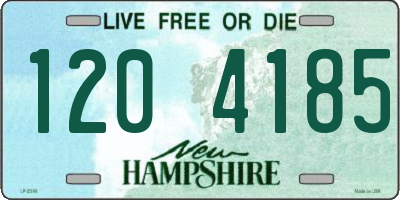 NH license plate 1204185