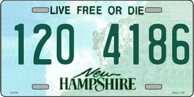 NH license plate 1204186