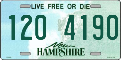 NH license plate 1204190