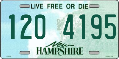 NH license plate 1204195