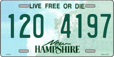 NH license plate 1204197