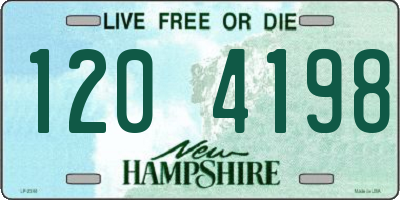 NH license plate 1204198
