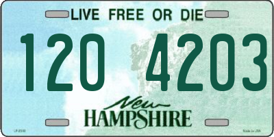 NH license plate 1204203