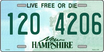NH license plate 1204206