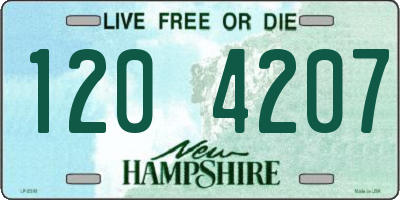 NH license plate 1204207