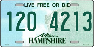NH license plate 1204213