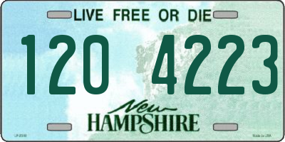 NH license plate 1204223