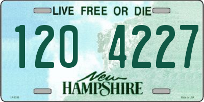 NH license plate 1204227