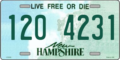 NH license plate 1204231