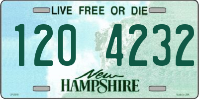 NH license plate 1204232