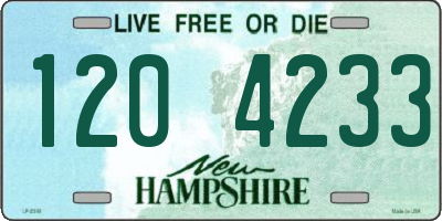NH license plate 1204233