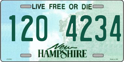 NH license plate 1204234