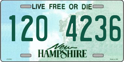 NH license plate 1204236