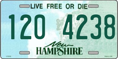 NH license plate 1204238