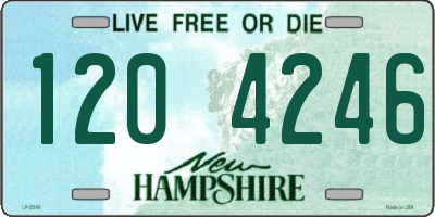 NH license plate 1204246