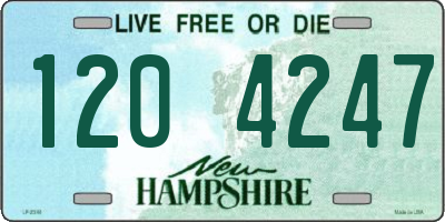 NH license plate 1204247