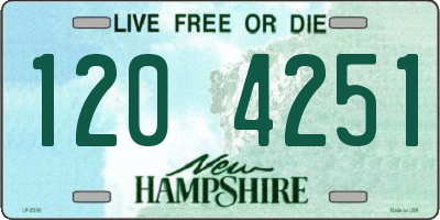 NH license plate 1204251