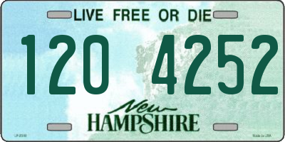 NH license plate 1204252