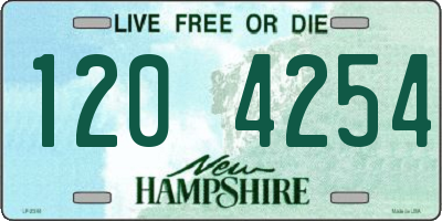 NH license plate 1204254