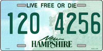 NH license plate 1204256