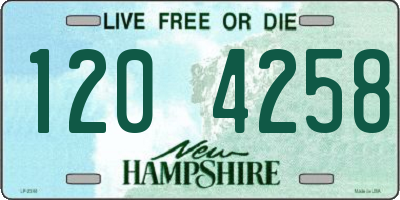NH license plate 1204258