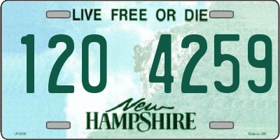 NH license plate 1204259