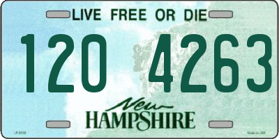 NH license plate 1204263